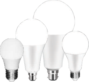 LED Bulb